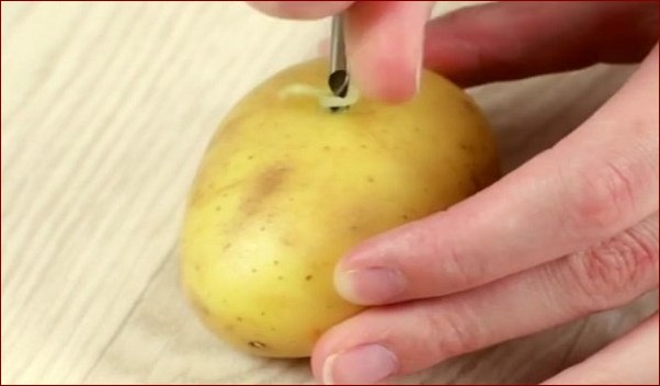 Róża w ziemniaku - odkryj niezwykły cud pośród warzyw. Niesamowite deformacje bulw!