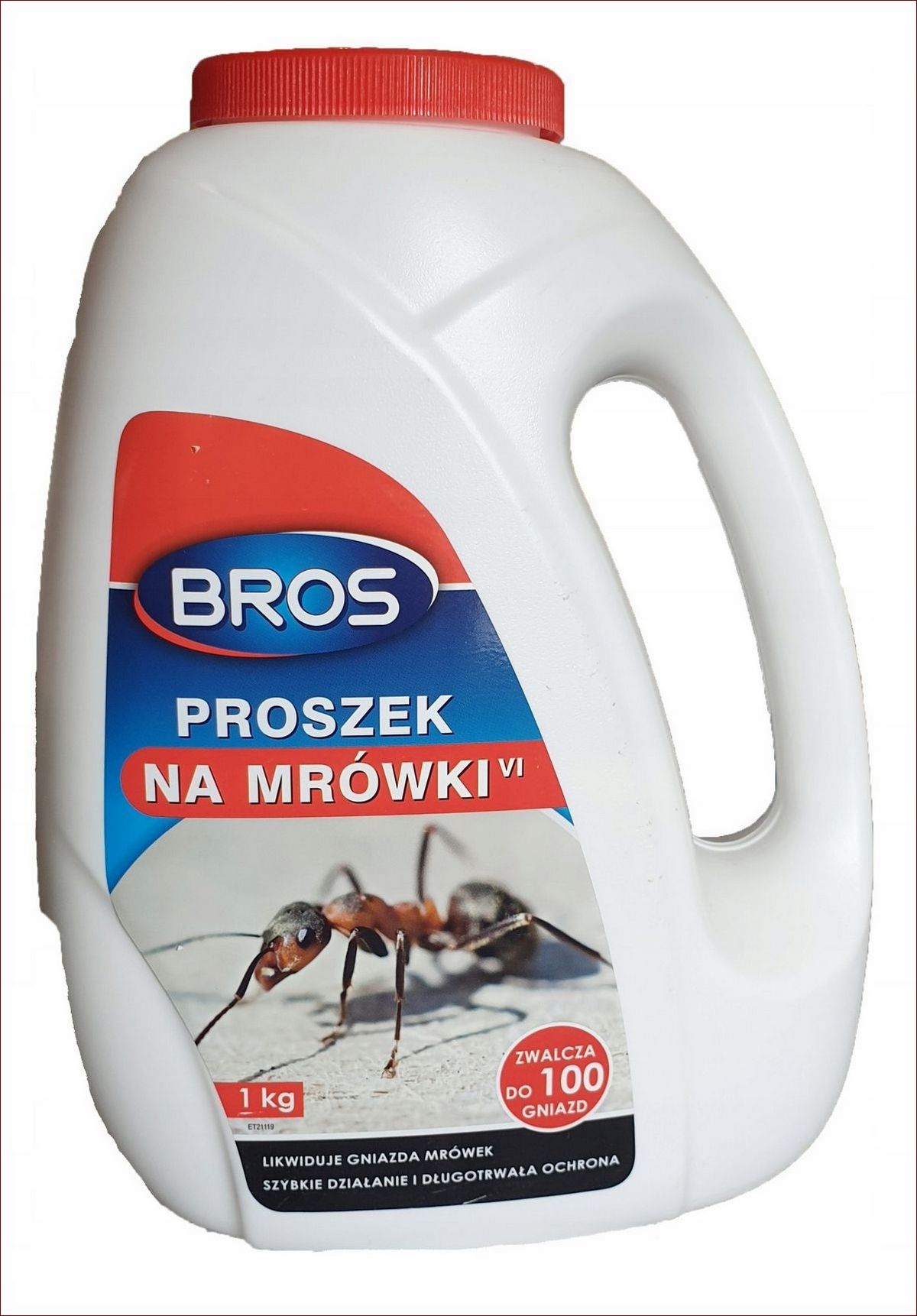 Środki na mrówki w domu - 7 skutecznych sposobów na pozbycie się mrówek raz na zawsze