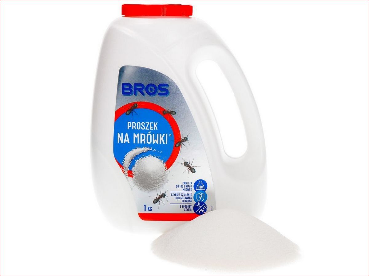 Środki na mrówki w domu - 7 skutecznych sposobów na pozbycie się mrówek raz na zawsze