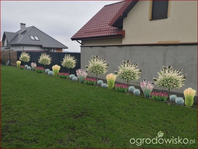 Rośliny przy ogrodzeniu aranżacje - sprytne pomysły na zielony płot