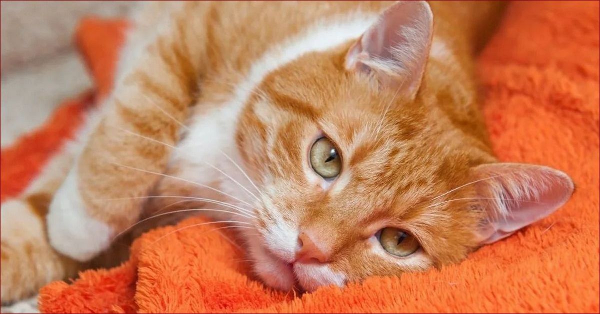 Ropiejące oko u dorosłych - jak rozpoznać i leczyć groźne objawy zapalenia oka