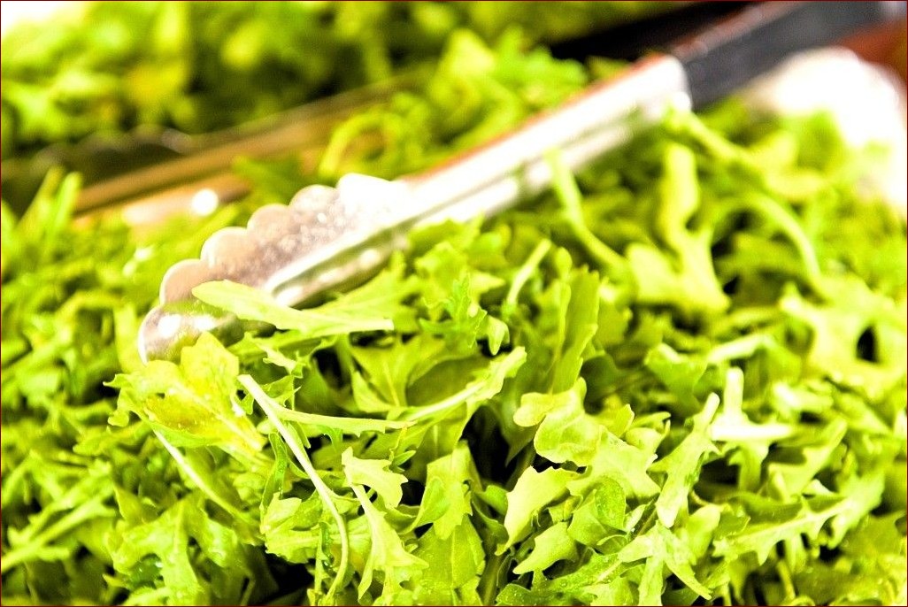 Rukola jak sadzić - Kompletny poradnik na obfite plony pikantnej rukoli