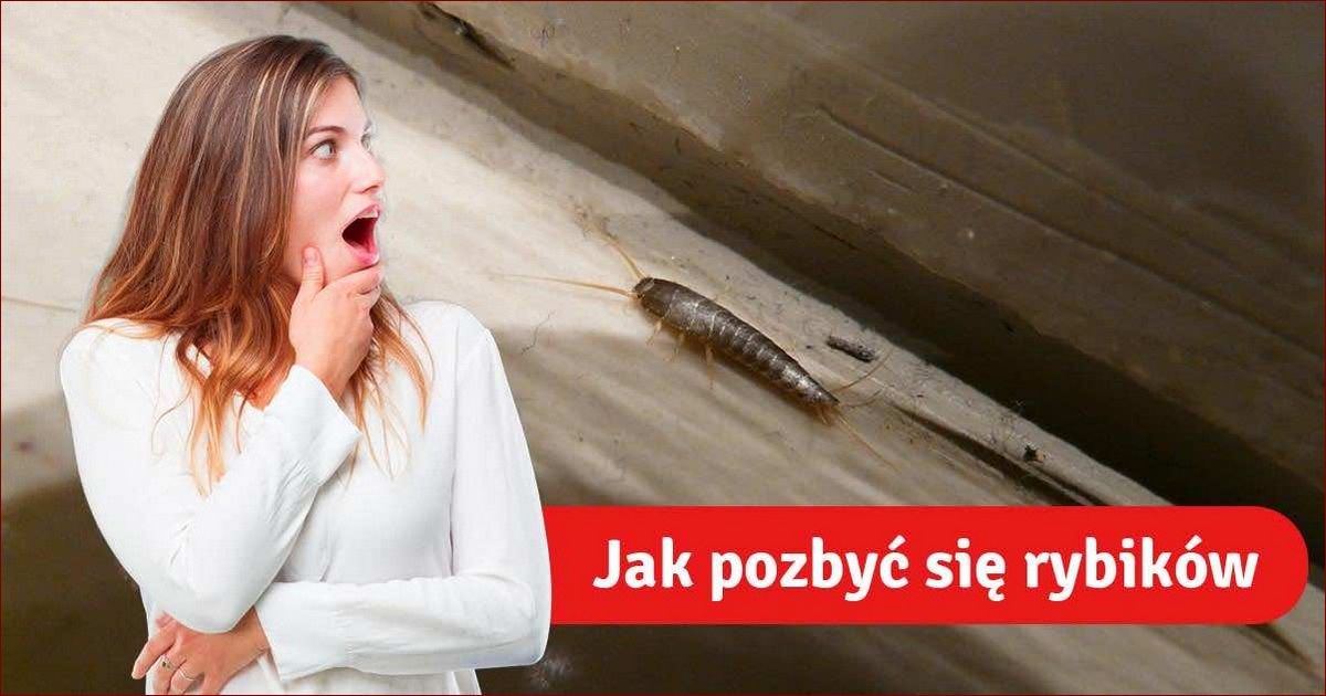 Rybiki jak się pozbyć - skuteczne sposoby na walkę z uciążliwymi insektami