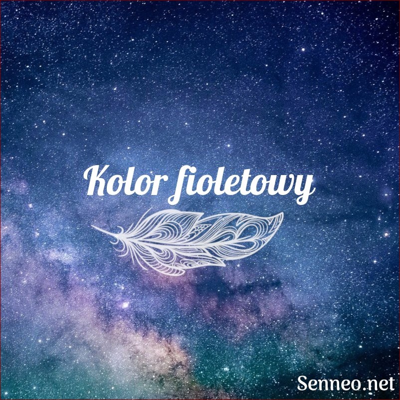 Sennik kwiaty kolorowe - odkryj niezwykłe znaczenia barw w snach