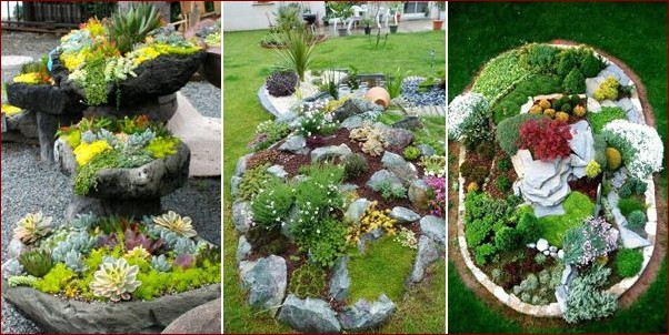 Skalniak przed domem - Jak stworzyć przyrodnicze dzieło sztuki na swojej posesji?