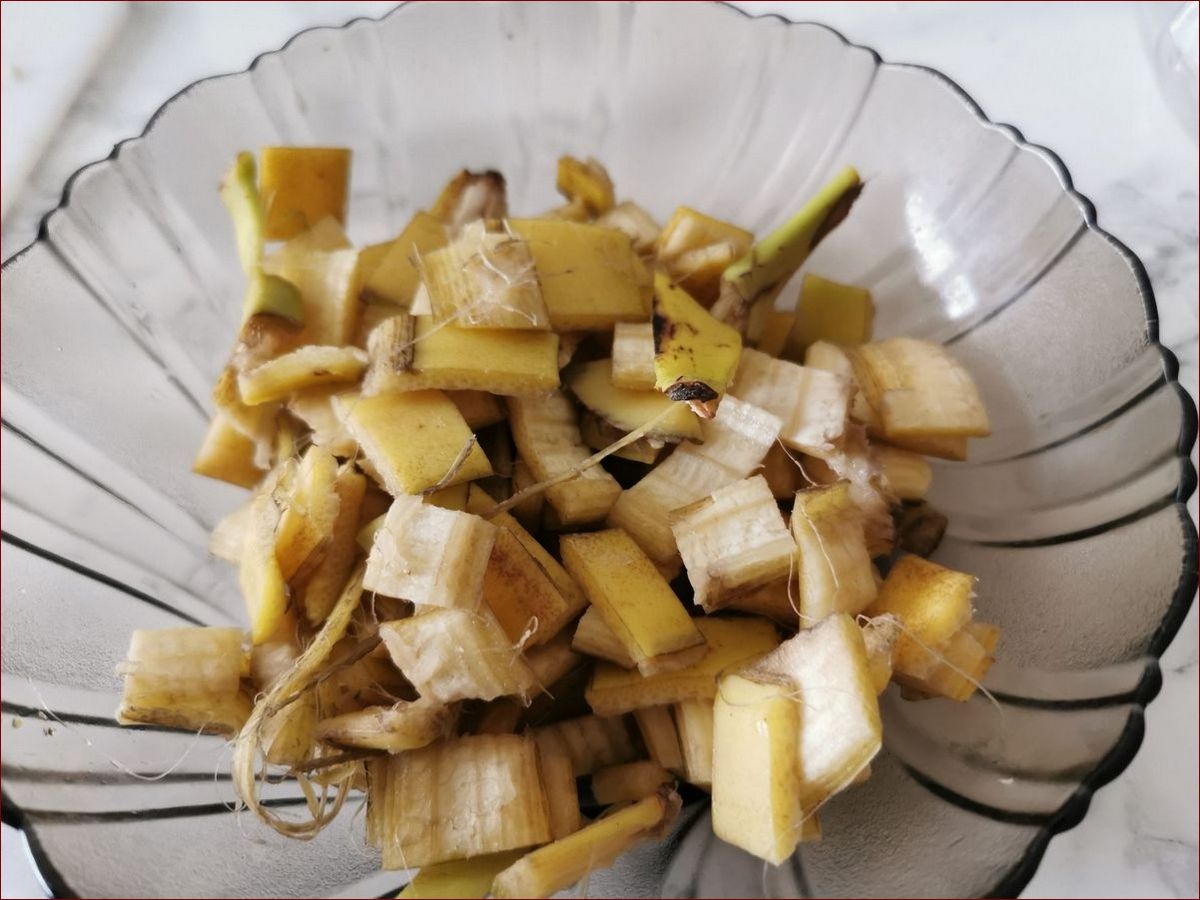 Skórki bananów pod pomidory - naturalny nawóz na obfite plony pomidorów