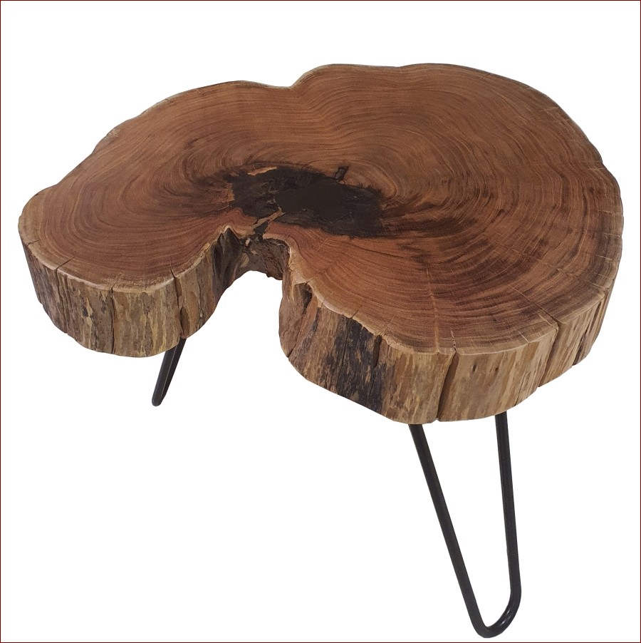 Stolik z pnia drzewa: Naturalna elegancja prosto z lasu do Twojego domu