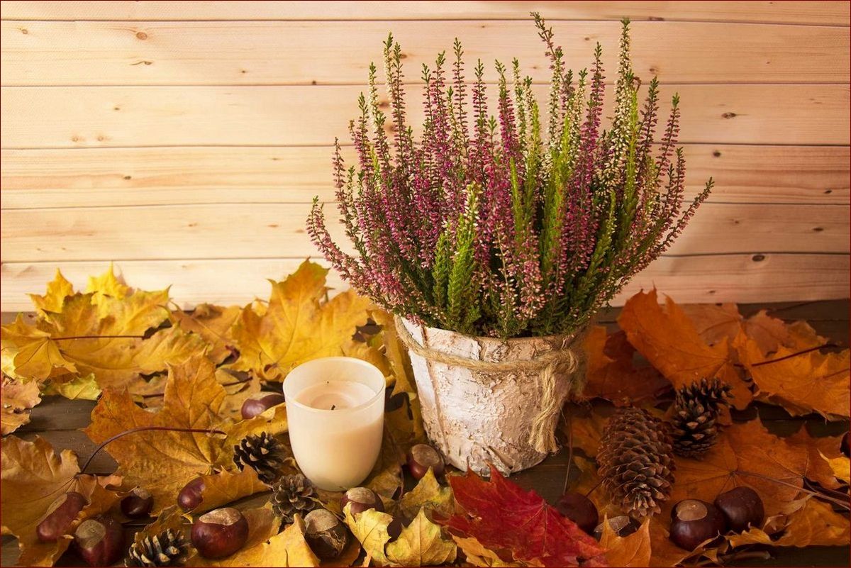 Stroiki jesienne dekoracje - stwórz piękno inspirowane naturą w swoim domu