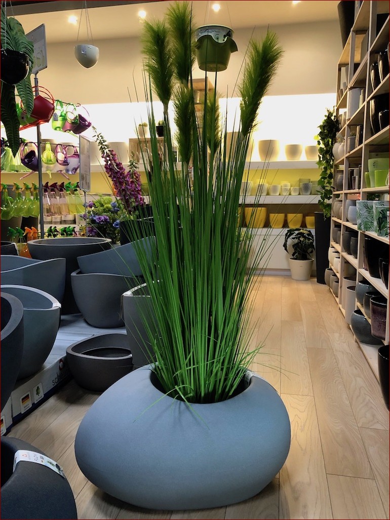 Trawy Ozdobne w Donicy: Naturalna Elegancja dla Twojego Domu i Ogrodu