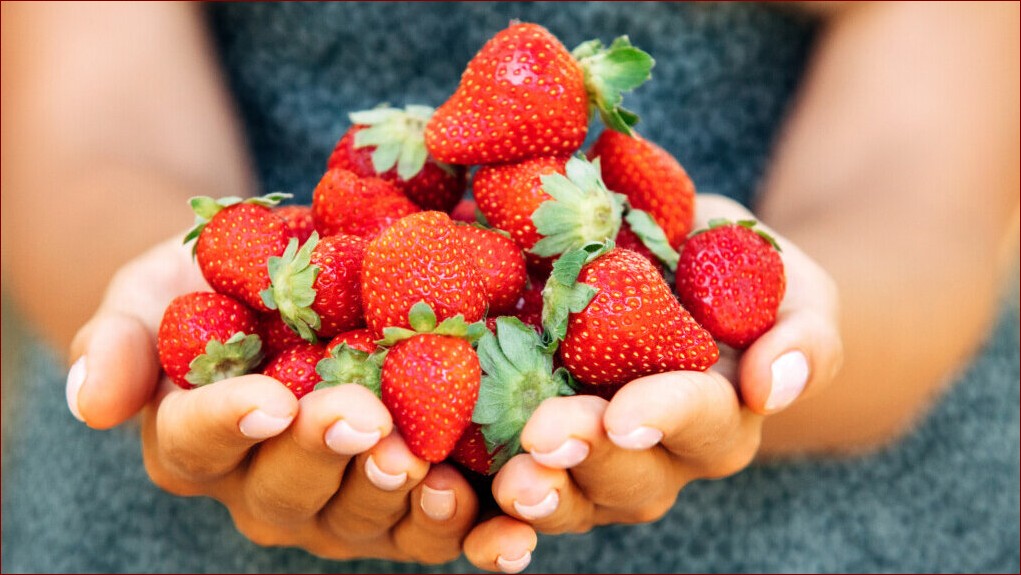 Truskawki na balkonie - jak uprawiać smakowite owoce w mieście?