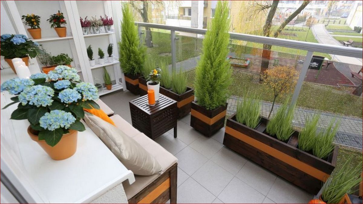 Tuje na balkon - ponadczasowa zieleń dla miejskich aranżacji