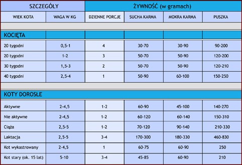 Waga kota dachowca tabela - Kompleksowy przewodnik dla zdrowego kociego towarzysza