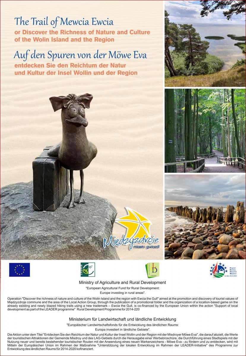 Wróblowate w Polsce: Odkryj bogactwo tych niezwykłych, kolorowych ptaków