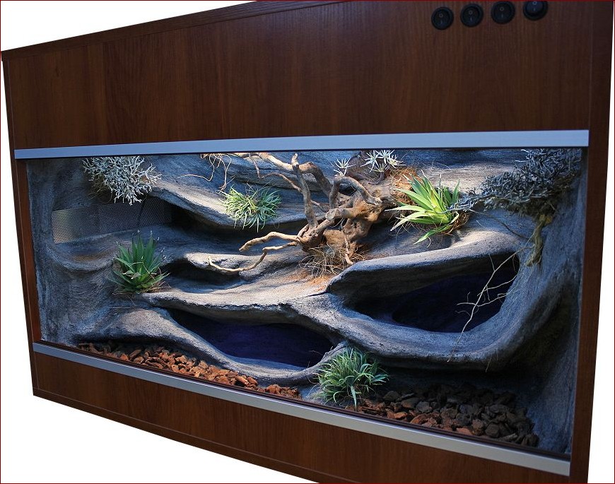 Wyposażenie terrarium dla gekona lamparciego - kompleksowy przewodnik dla miłośników