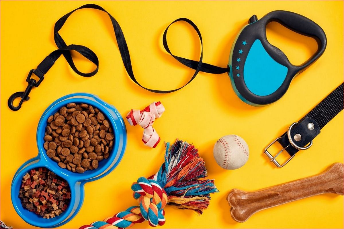 Wyprawka dla szczeniaka: lista niezbędnych rzeczy dla Twojego pupila