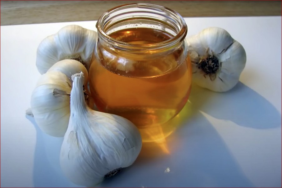 Wywar z czosnku do podlewania - naturalny środek na zdrowe i piękne rośliny