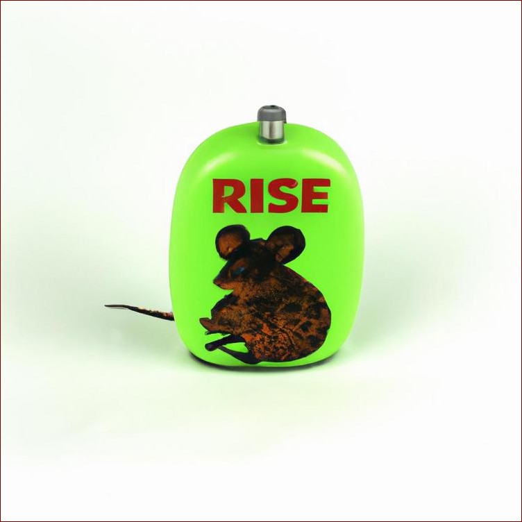 Zapach myszy w domu? Jak skutecznie pozbyć się tego problemu raz na zawsze!