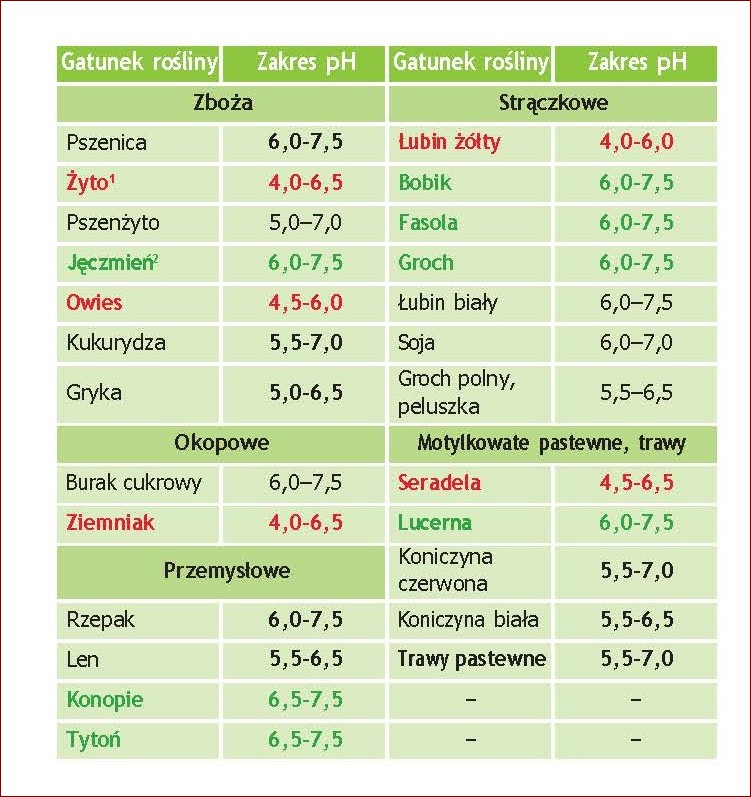 Ziemia do piwonii: Sekrety idealnej gleby dla twoich pięknych kwiatów