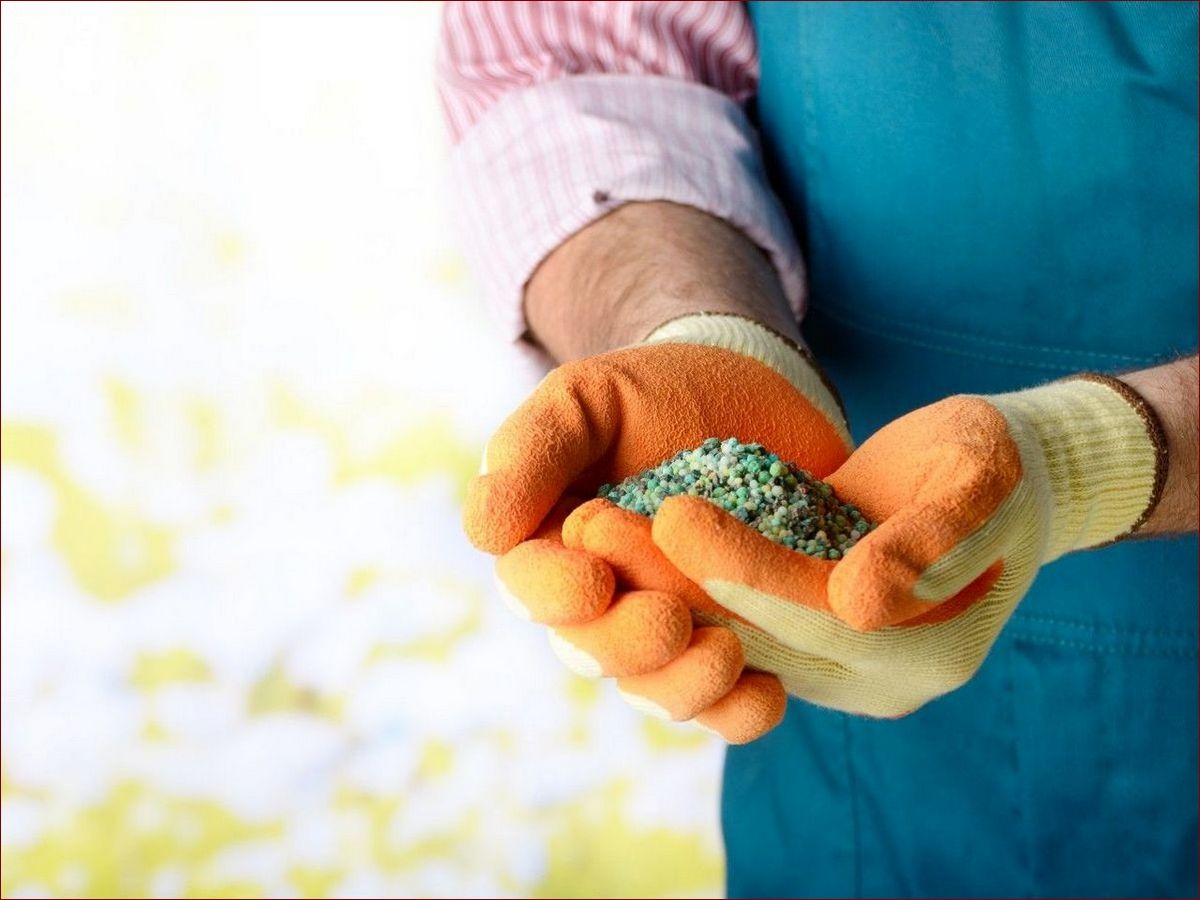 Ziemia do skrzydłokwiatu - Tajemnica Pięknych Kwiatów w Każdym Domu