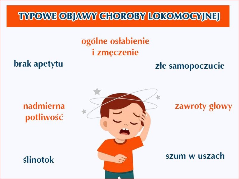 Choroba lokomocyjna u psa: Jak skutecznie ją rozpoznać i wyeliminować?