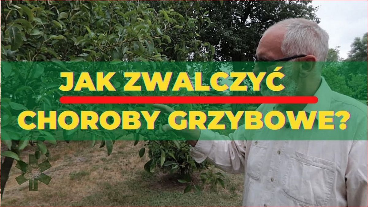 Grzyb na roślinach - Jak zwalczyć zagrożenie i ochronić plony przed stratami? () Grzyb na roślinach - Jak zwalczyć zagrożenie i ochronić plony przed stratami?