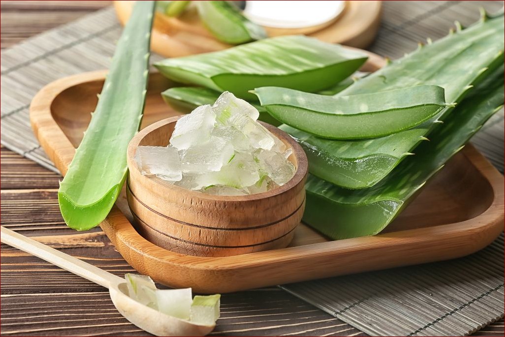 Jak podlewać aloes - Kompleksowy przewodnik dla wiecznie zielonych roślin