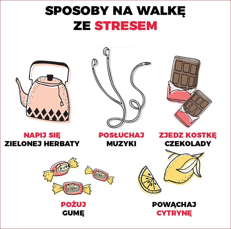 Jak pozbyć się srok raz na zawsze? Poznaj skuteczne triki i porady od ekspertów