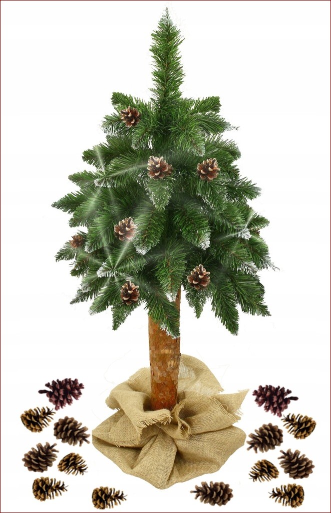 Mała choinka na pniu: niebanalna ozdoba, która odmieni Twoje święta