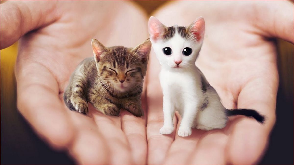 Małe żółte pajączki - niezastąpieni sprzymierzeńcy twojego ogrodu