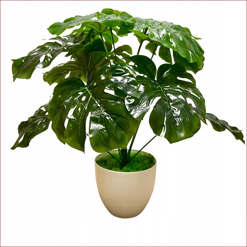 Mały kwiatek doniczkowy: Naturalna ozdoba, która odmieni każde wnętrze