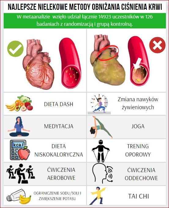 Mokry nos u kota - przyczyny, objawy i kiedy należy się martwić