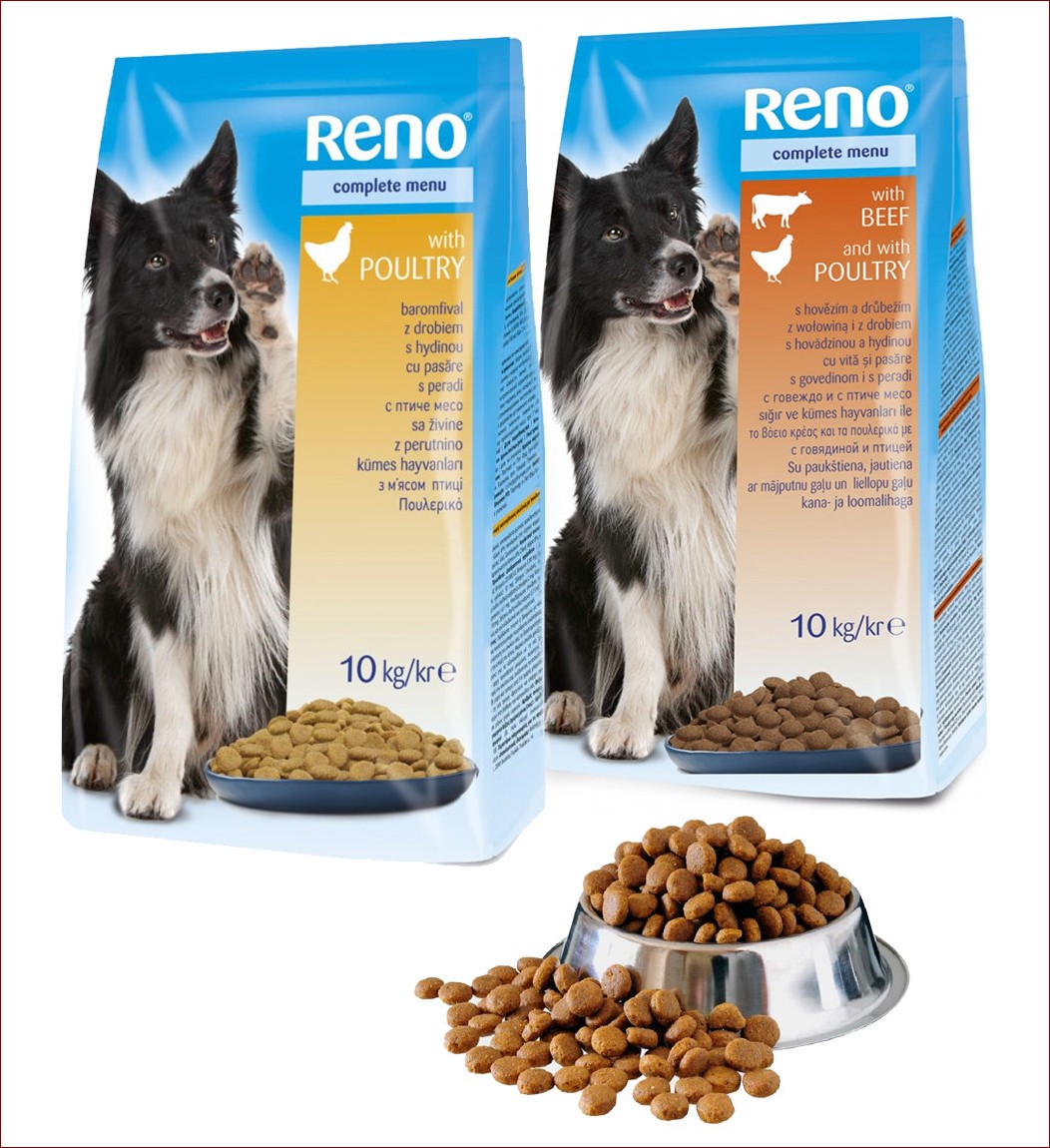 Najlepsza sucha karma dla psa: Sekret długiego życia Twojego pupila