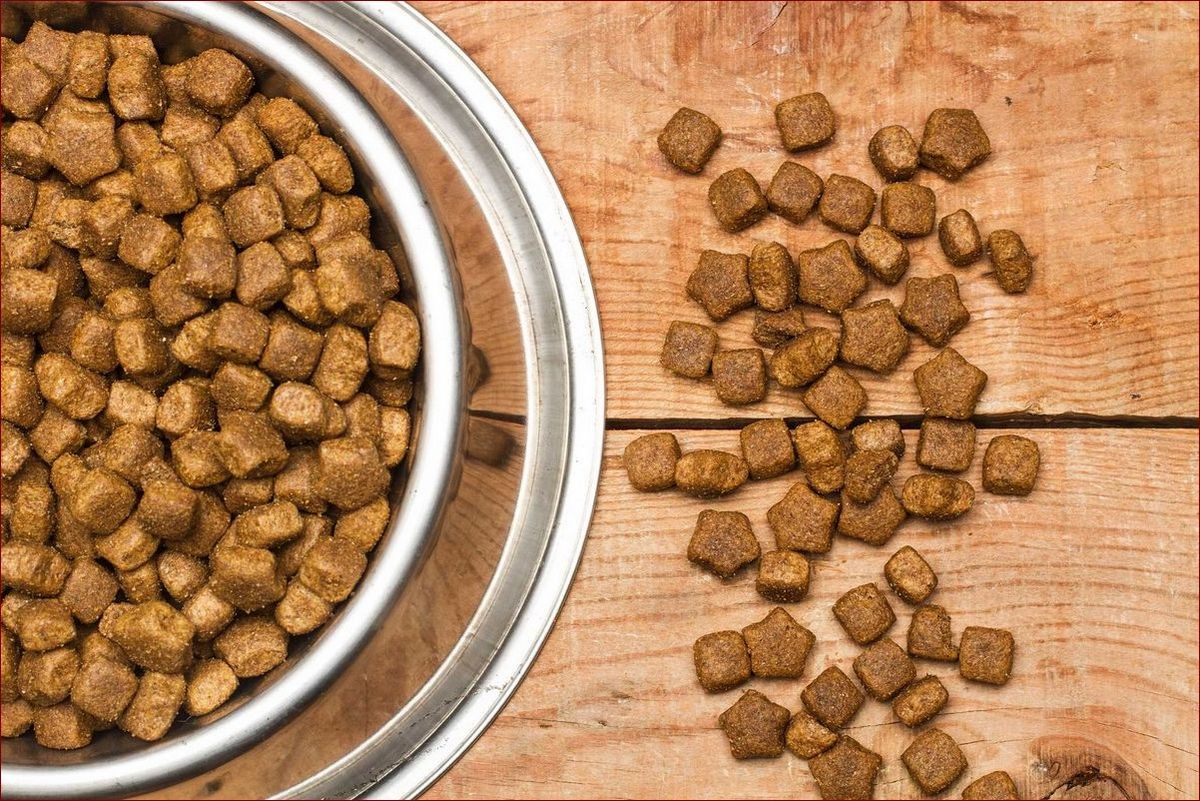 Najlepsza sucha karma dla psa: Sekret długiego życia Twojego pupila