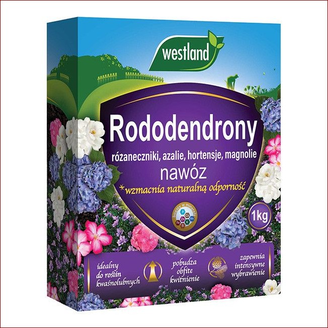Nawóz do rododendronów: Odkryj sekret pięknych i zdrowych krzewów kwiatowych