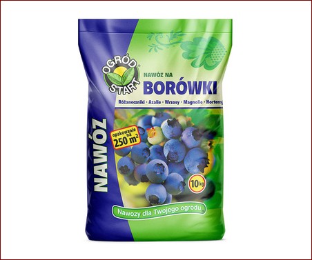 Nawóz z chleba do borówek - sekret obfitych plonów soczystych jagód