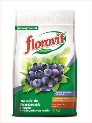 Nawóz z chleba do borówek - sekret obfitych plonów soczystych jagód