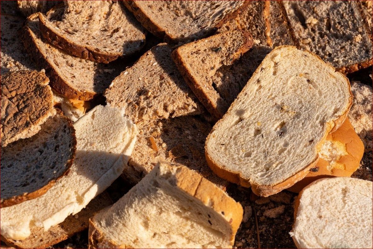 Nawóz z chleba do borówek - sekret obfitych plonów soczystych jagód