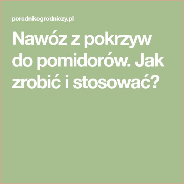 Nawóz z pokrzyw do pomidorów: Odkryj sekret soczystych i smacznych upraw!