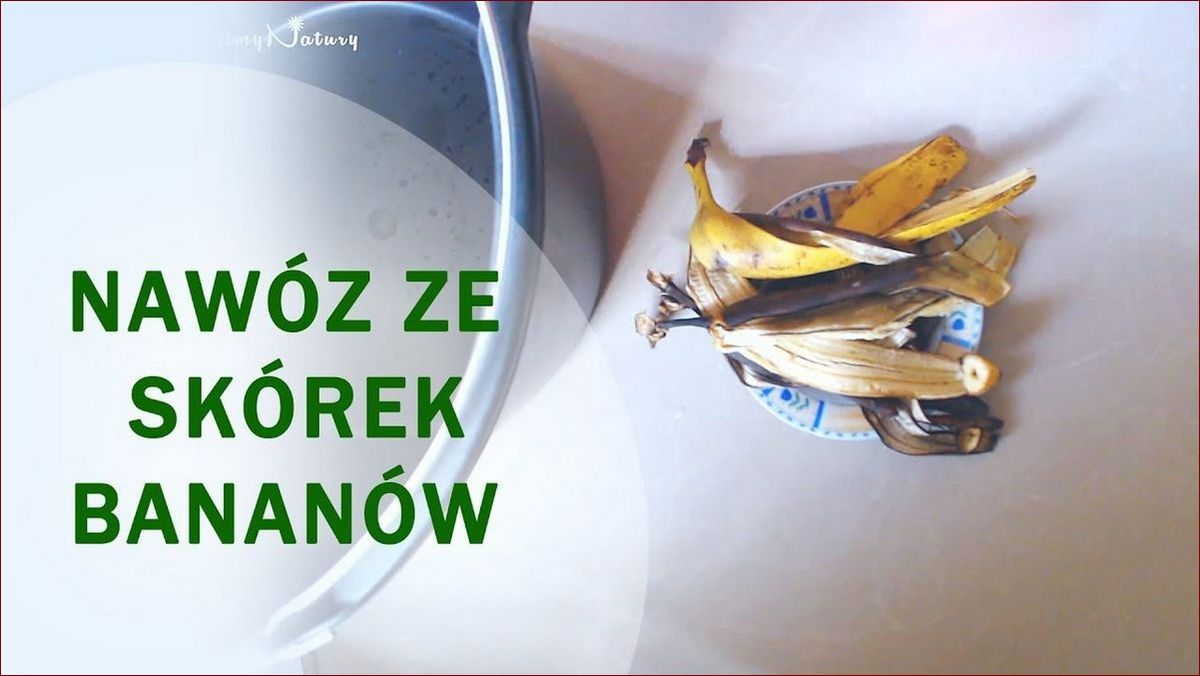 Nawóz ze skórek banana - Sekrety domowego złota dla Twojego ogrodu