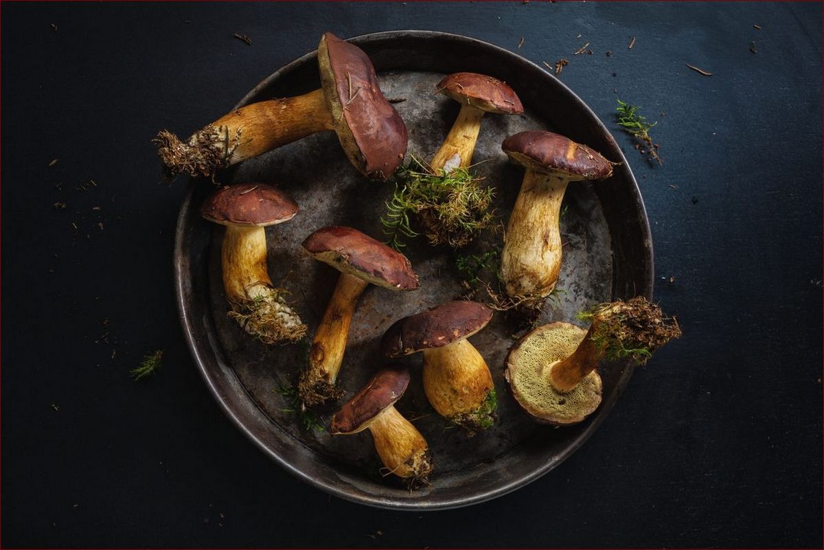 Nie suszyć w suszarce symbol - dlaczego to ważne i jakie są alternatywy?