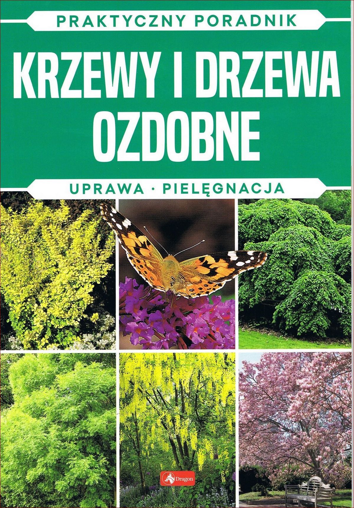 Niespotykane krzewy ozdobne - egzotyczna przygoda dla Twojego ogrodu!