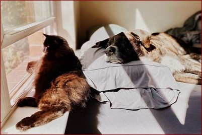 Jak schłodzić pokój bez klimatyzacji? 10 niedrogich i energooszczędnych sposobów