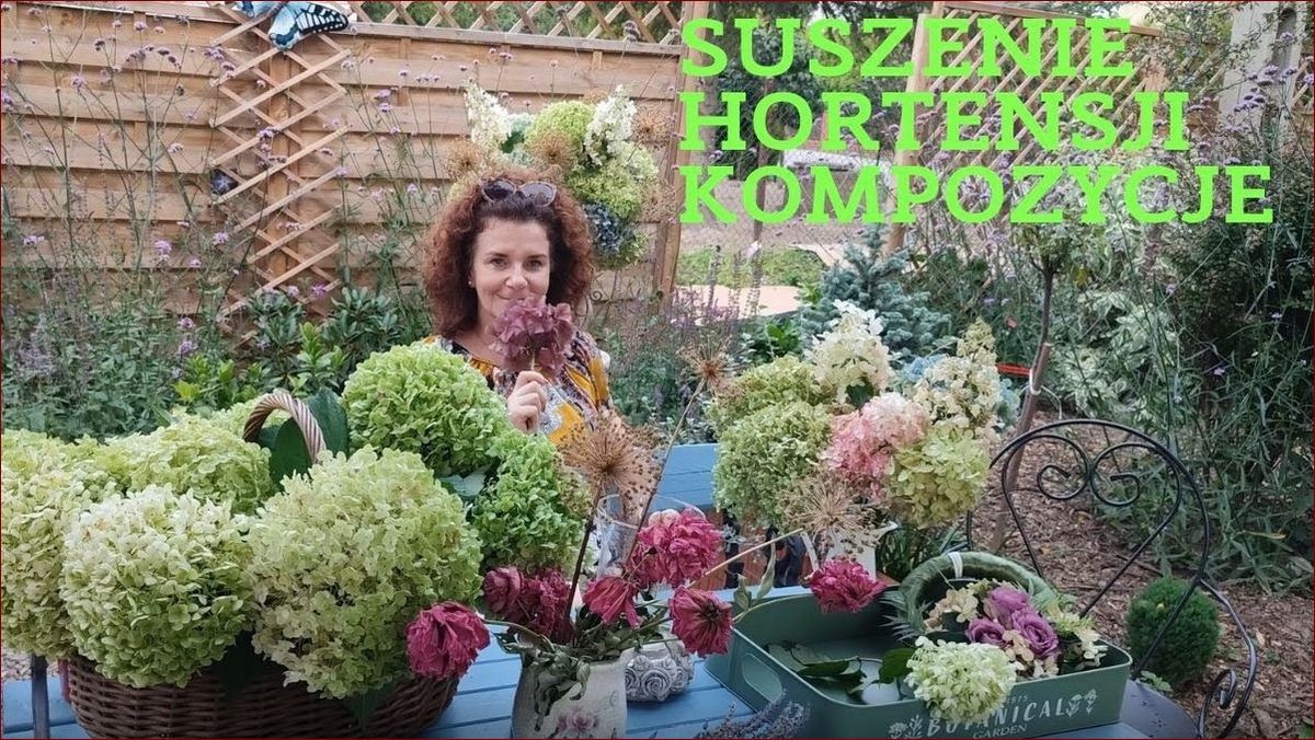 Jak zasuszyć kwiaty hortensji? Odkryj łatwe i sprawdzone metody na wyjątkowe dekoracje!