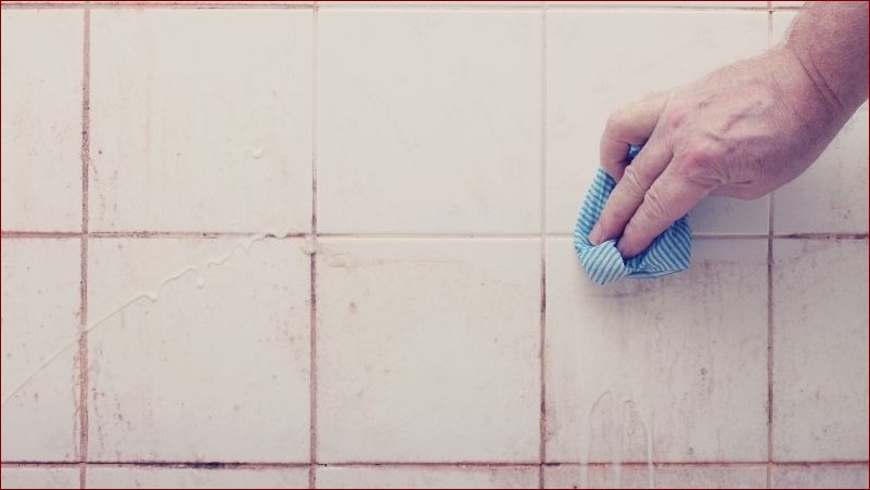 Ocet na pleśń - Naturalny i Skuteczny Sposób na Pozbycie się Uciążliwego Problemu () Ocet na pleśń - Naturalny i Skuteczny Sposób na Pozbycie się Uciążliwego Problemu