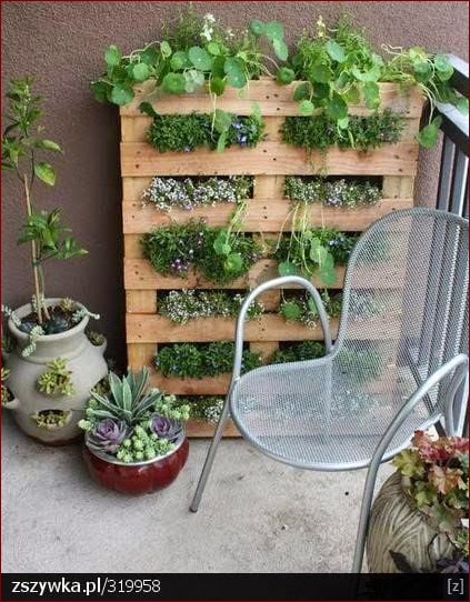 Ogródek na balkonie - zazieleń swoje miejskie życie od nowa!
