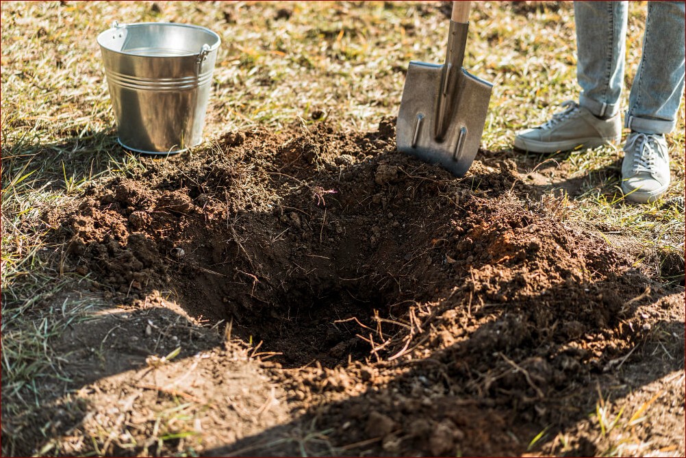 Pchły w domu? Poznaj 8 skutecznych sposobów, aby pozbyć się tych uciążliwych szkodników raz na zawsze!