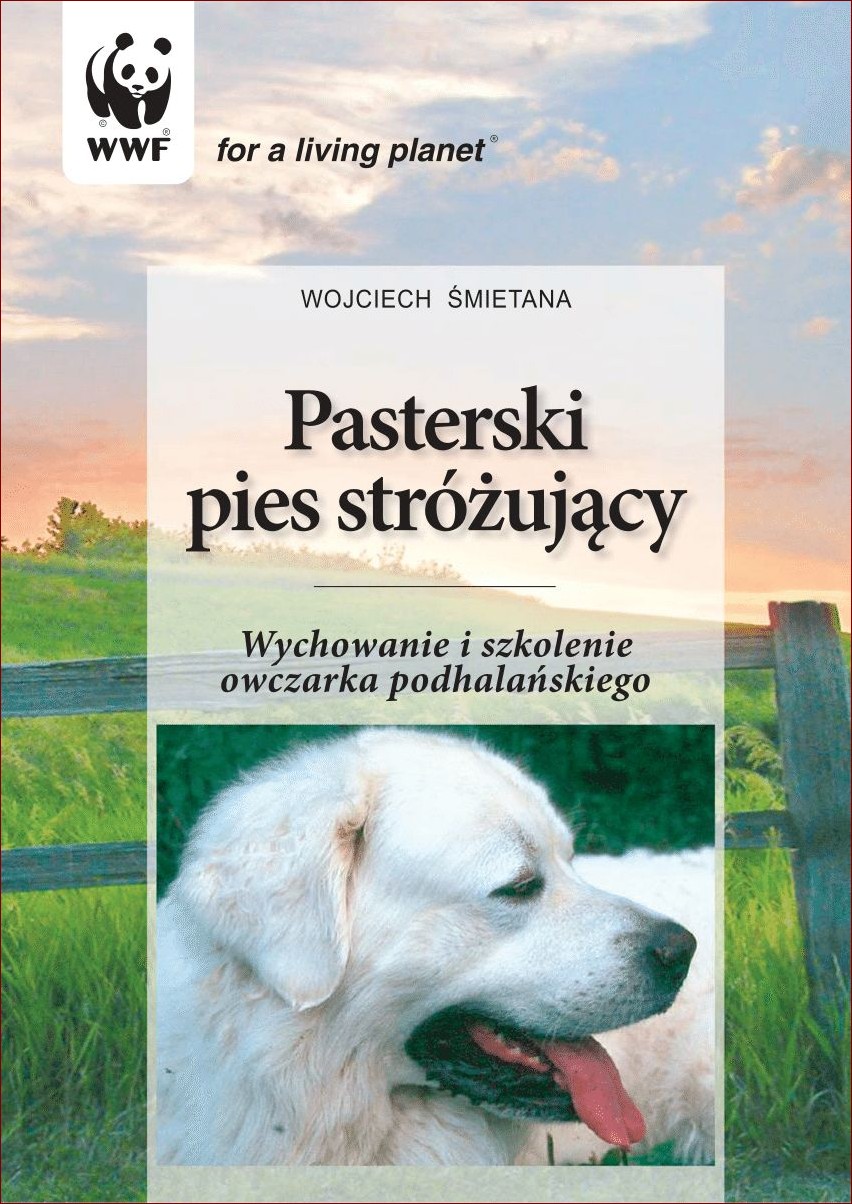 Pies stróżujący na podwórku - poznaj 7 kluczowych korzyści, które zwiększą bezpieczeństwo