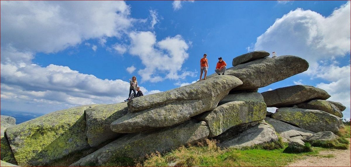 Skąd pochodzą prusaki - Poznaj sekretne szlaki inwazji tych upartych szkodników