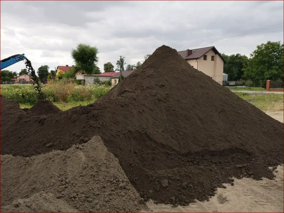 Jaka ziemia do grudnika? Odpowiedź, której potrzebujesz dla pięknych kwiatów