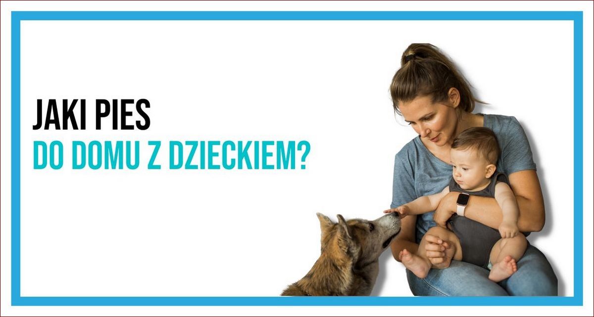 Jaki pies do domu? 10 ras, które zmienią Twoje życie na lepsze! () Jaki pies do domu? 10 ras, które zmienią Twoje życie na lepsze!